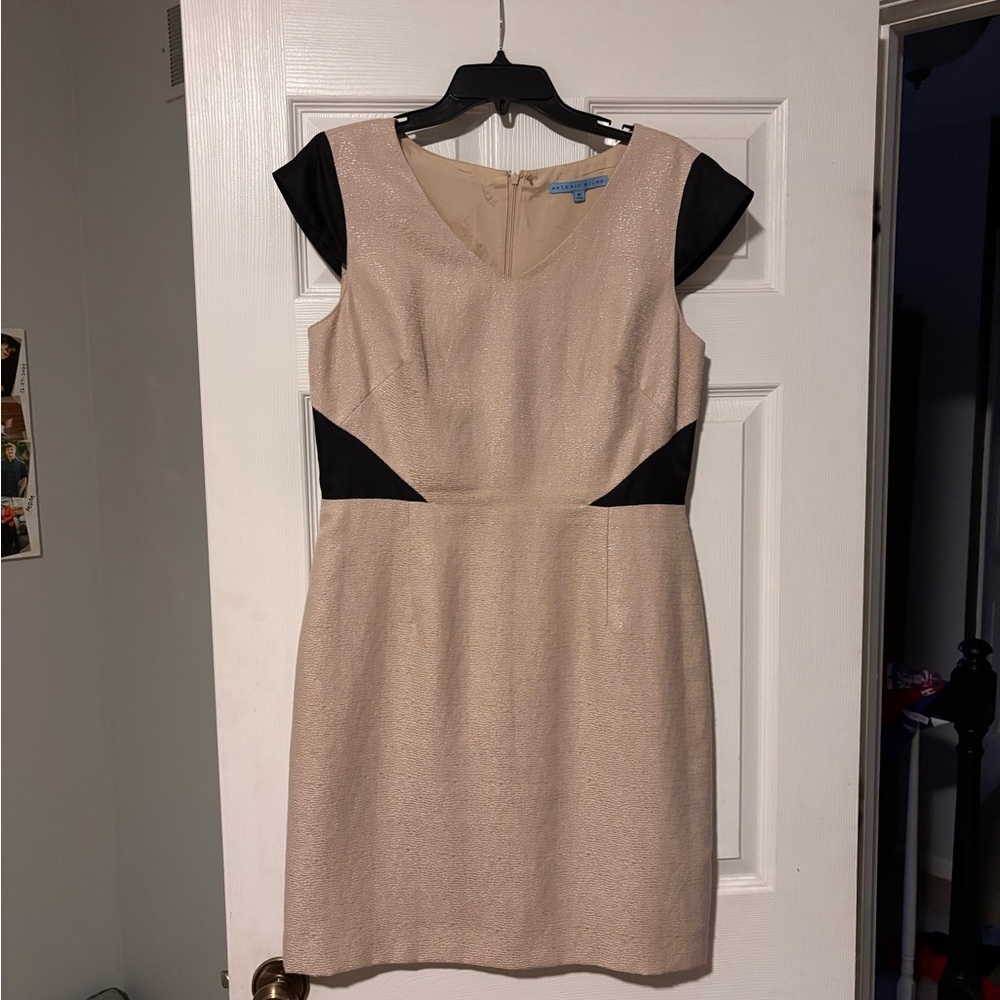 ANTONIO MELANI Elegant Cream and Black Mini Dress